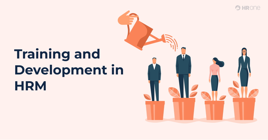 Training and Development In HRM: 10 Types And Stages [+Best Practices]