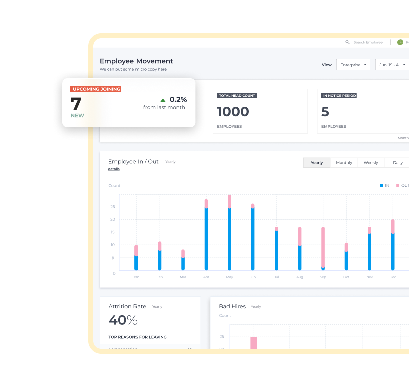 organisation Insights 