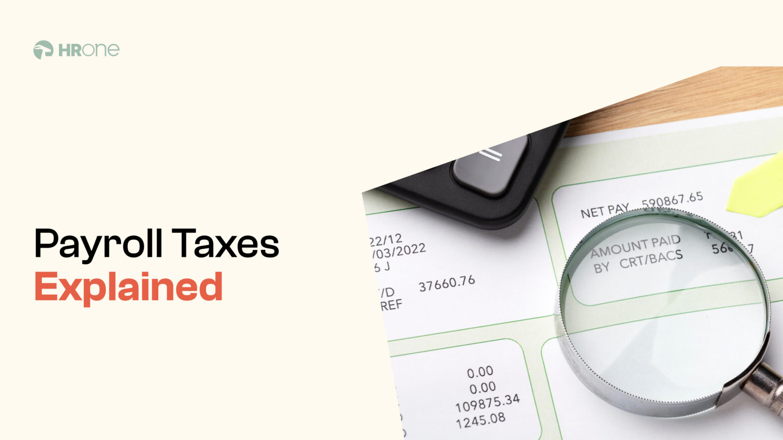 Payroll Taxes Explained